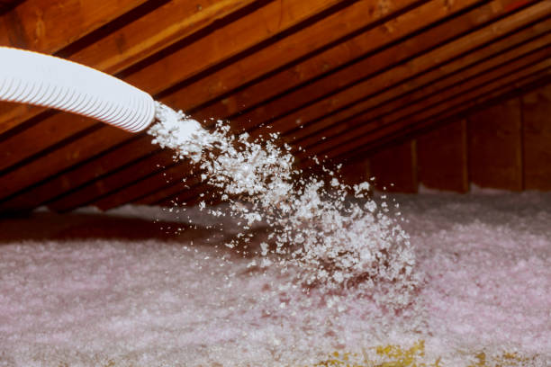 Best Local Insulation Services  in Garland, NC