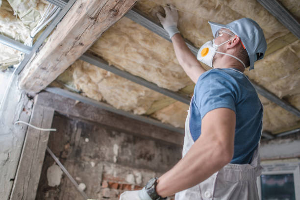 Best Insulation Repair Services  in Garland, NC