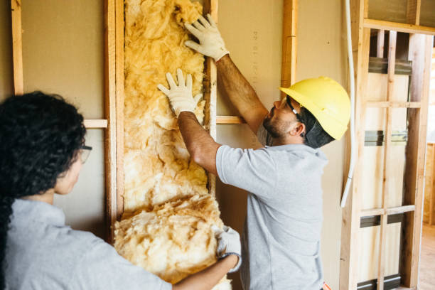 Best Wall Insulation Contractor  in Garland, NC